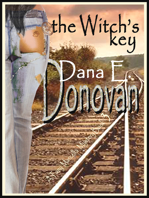 Title details for The Witch's Key (Book 3) by Dana E. Donovan - Available